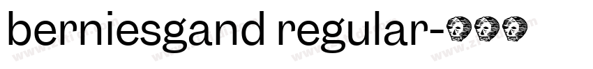 berniesgand regular字体转换